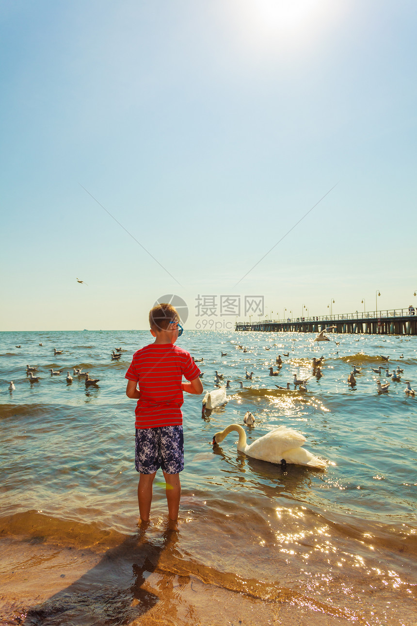 小孩和大白海鸟玩得开心图片