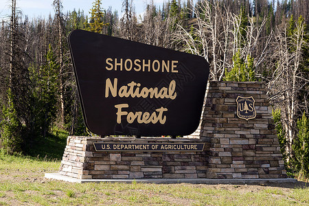 标志Shoshoone森林边界的标志图片