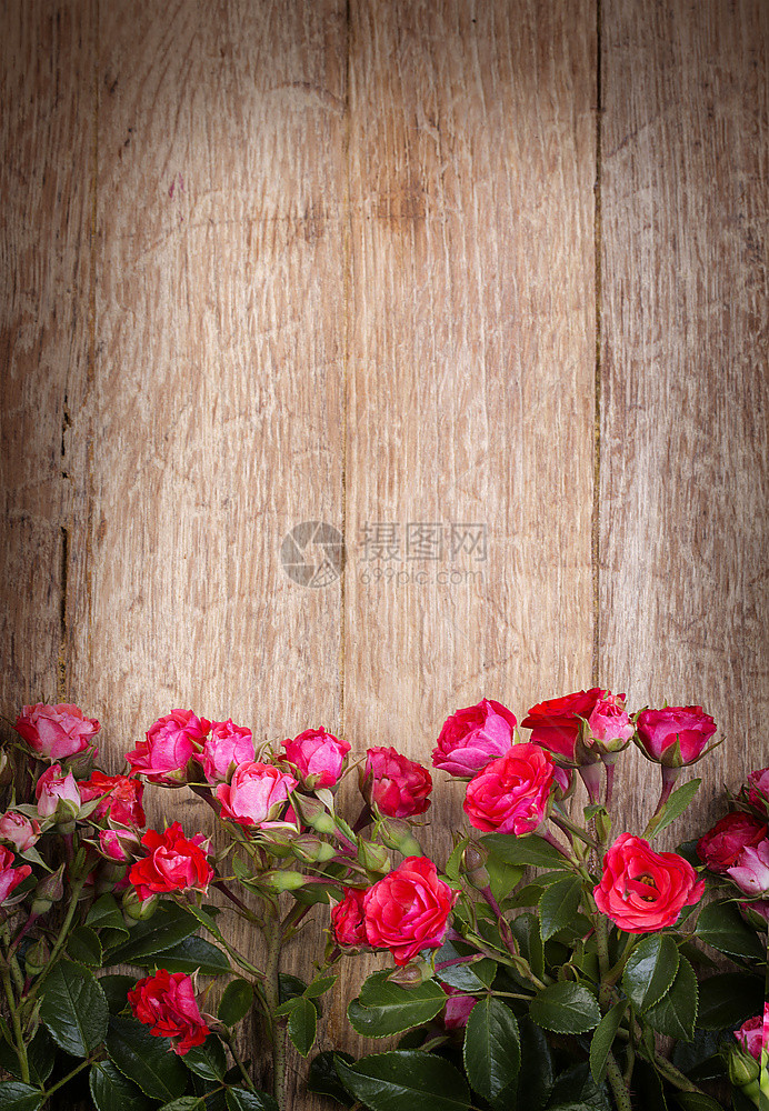 木板上的红玫瑰情人节背景图片