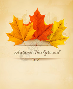 秋色背景有三个多彩的叶子矢量图片