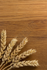 木底小麦耳朵图片