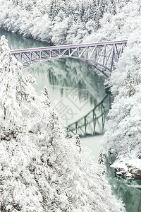 冬季风雪覆盖了河流和桥梁的树木图片