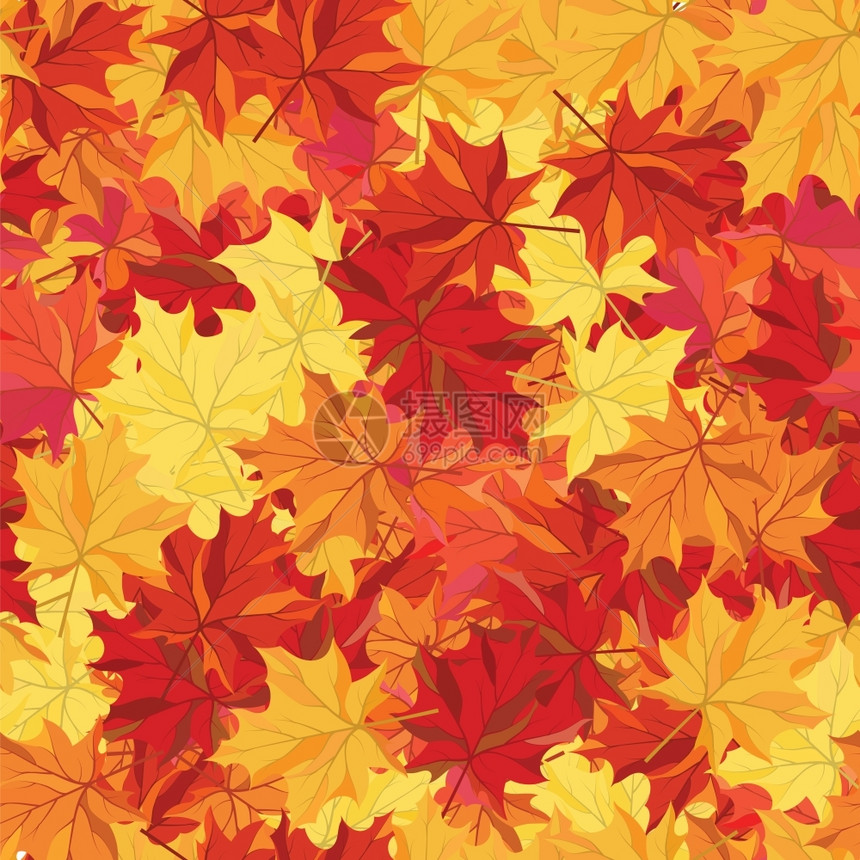 无缝秋天的树叶图案图片