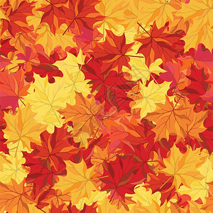 无缝秋天的树叶图案图片