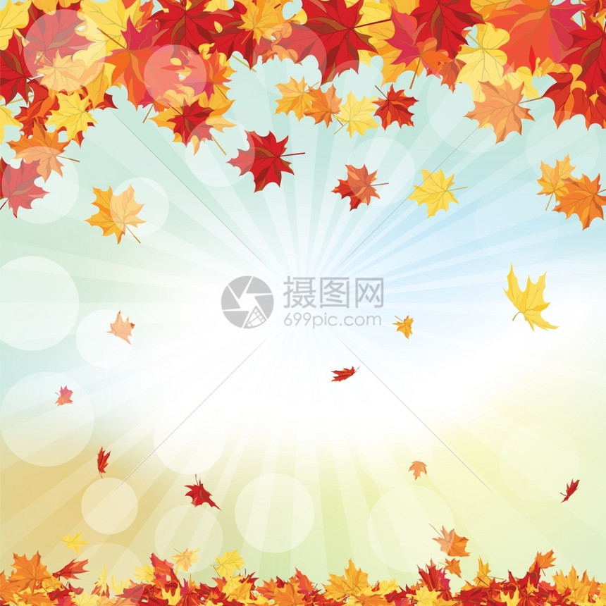 秋天框架空背景上落满月的秋天叶图片