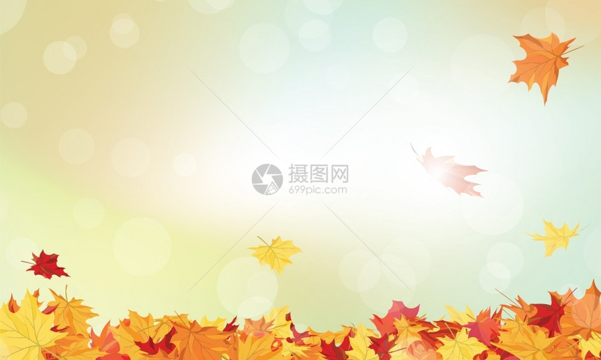 秋天框架空背景上落满月的秋天叶图片