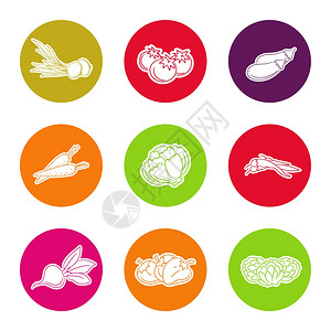 线条蔬菜图标设置线条蔬菜图标设置在彩色圆形矢量图解中图片
