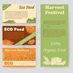 收获节和生态食品传单收获节和生态食品传单个人卡模板矢量图片