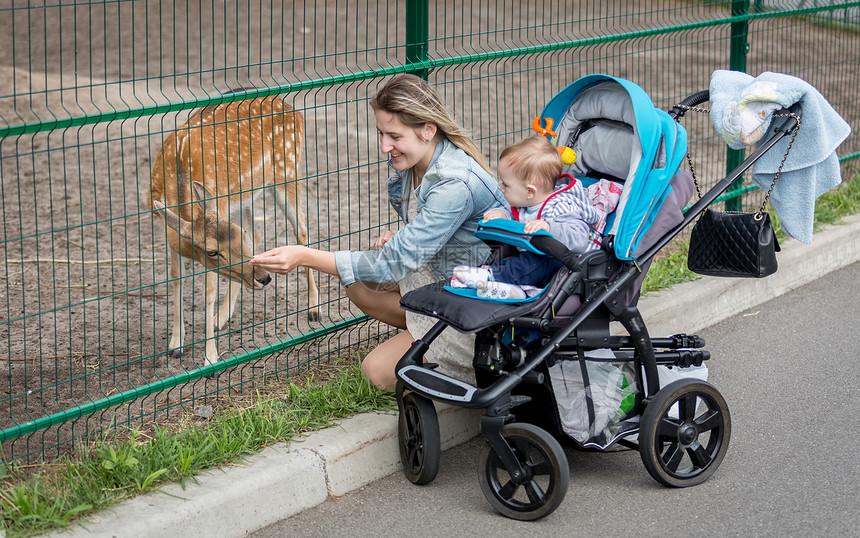 美丽的母亲在动物园穿过栅栏喂鹿图片
