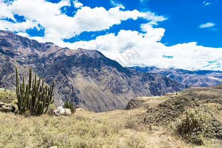 秘鲁的地貌景观阿雷基帕高清图片素材