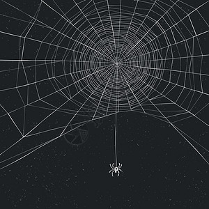 具有蜘蛛和网络的万圣节背景背景图片