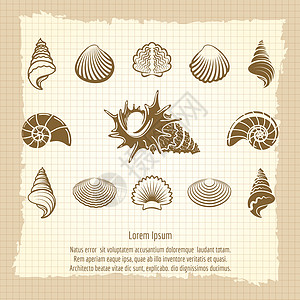蜗牛海报旧式海壳环形光影集笔记本页上的旧式海壳环形光影集背景