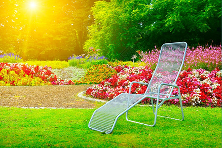 公园躺椅黎明时在下一个花床上停靠在公园的甲板椅上背景
