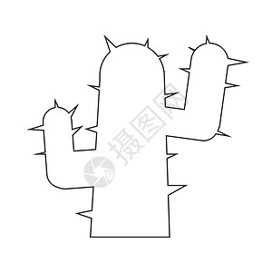 Cactus图标插设计背景图片