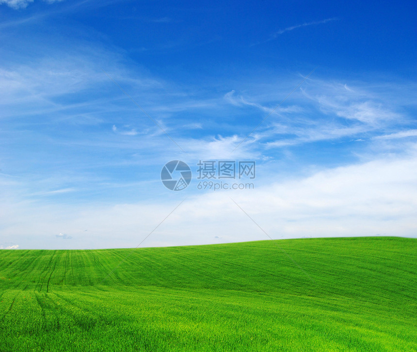 绿地和蓝色天空xA图片