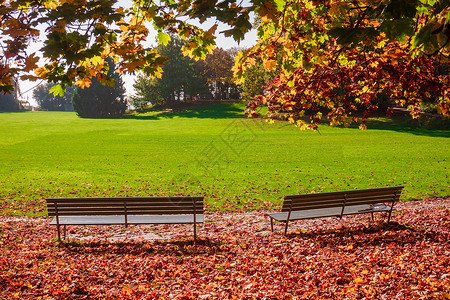城市公园美丽的秋天场景图片