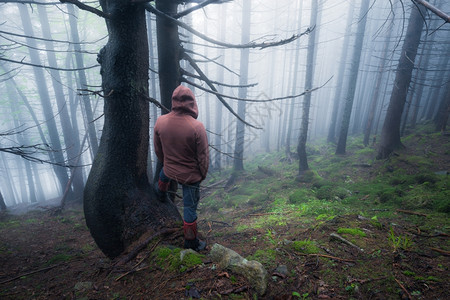 在老雾林的孤独男人图片