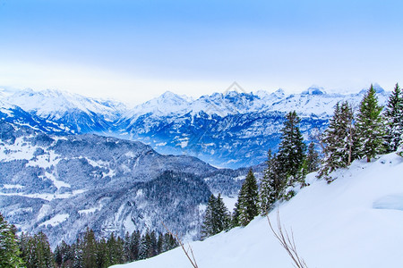 美丽的冬季风景雪覆盖树木假期高清图片素材