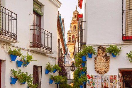 西班牙科尔多瓦老犹太区著名花街CallejadelasFlores和西班牙安达卢亚市BellTowerMezquita的白墙上花背景图片