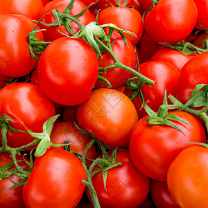 红番茄背景图片