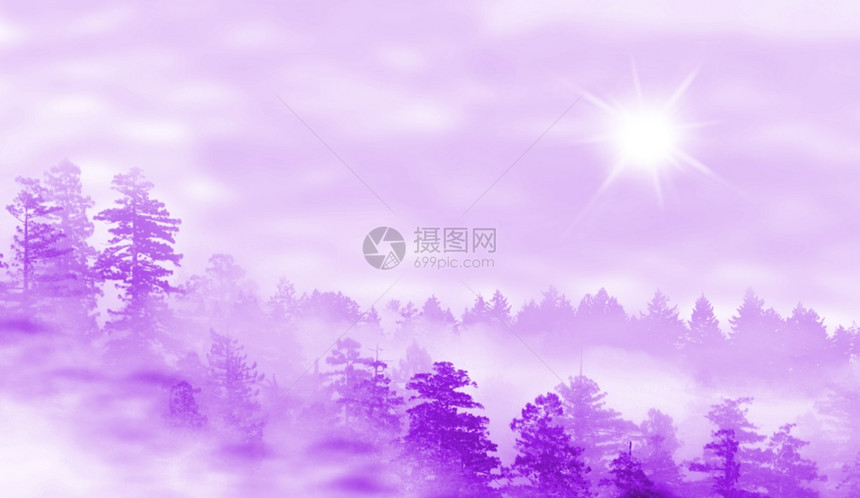 日出时雾林的风景神秘概念紫色图片