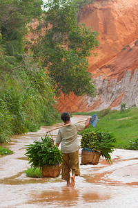 消除贫困日MUINNEVETNAM201年7月6日越南农民妇女将其货物从野生中运出农业对越南大部分人口的生存至关重要201年7月6日越南M背景