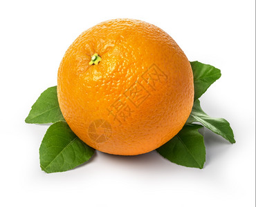 新鲜橙子水果白叶切除图片