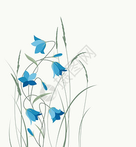 夏花露天朵矢量插图草丛中的蓝铃形花朵夏露天朵背景图片