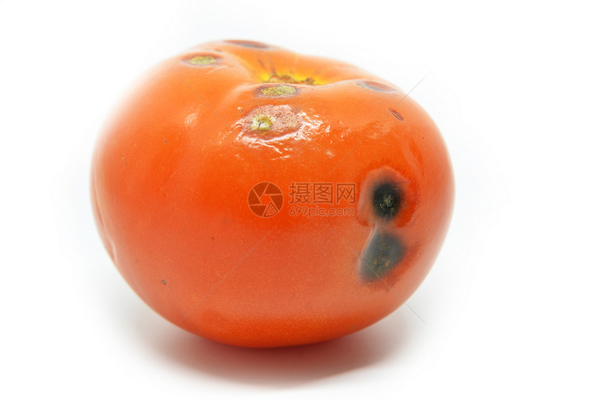 白色背景上孤立的腐化番茄图片