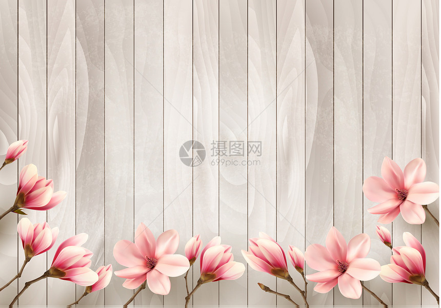 大自然的春天背景木牌上有美丽的兰花枝矢量图片