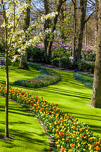 春天美丽的花园多夏天高清图片素材