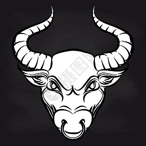 黑板背景的白公牛头手画黑板背景的白公牛头矢量插图背景