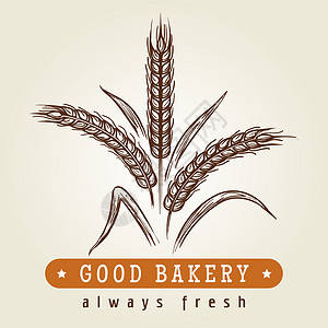 小麦矢量图小麦耳朵好的面包店标志手画的好标志绘制草图小麦耳朵反位标志矢量图背景