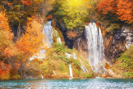 美丽的秋林瀑布高清图片