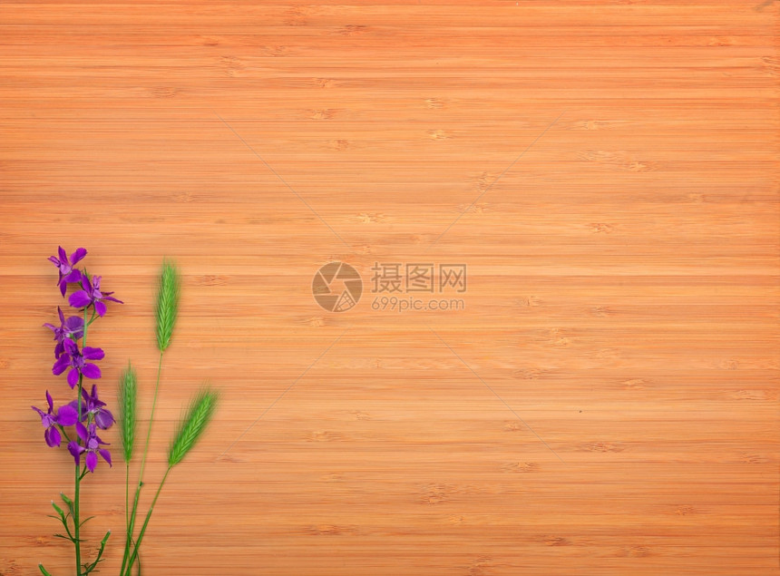 木制背景的两栖花朵文本空闲间顶部视图图片