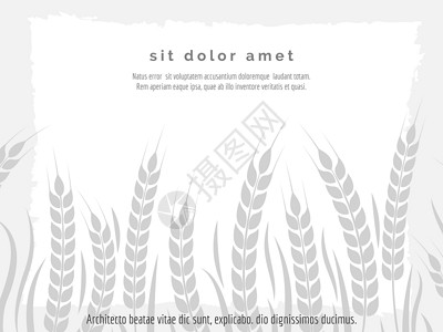 小麦矢量图带有小麦分支的横向农业海报带有小麦分支矢量图的横向农业海报背景