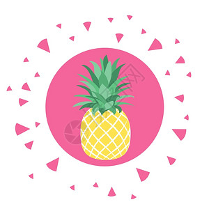热带水果菠萝矢量元素图片