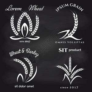 粉笔板上的谷物产品标签粉笔板设计上的谷物产品标签矢量插图小麦高清图片素材