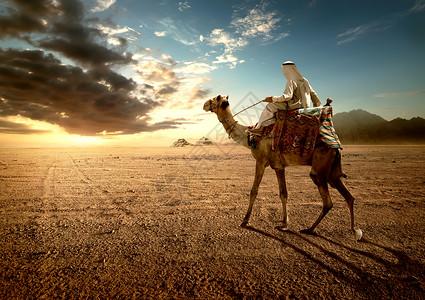 在雾中金字塔附近贝都因人骑骆驼日落时贝都因人背景图片