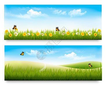 春天蓝天下的草地和鲜花背景图片