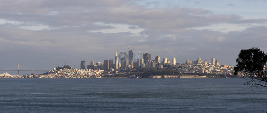 马林县对面海湾旧金山市的天线图片