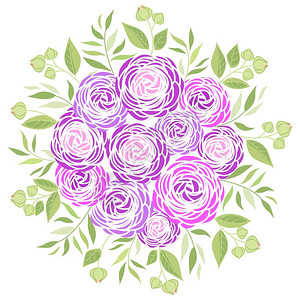 紫色玫瑰花花朵矢量插图背景图片