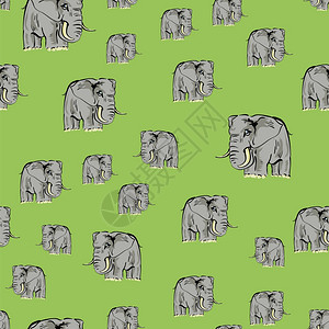 卡通大象无缝绿色背景模式图片