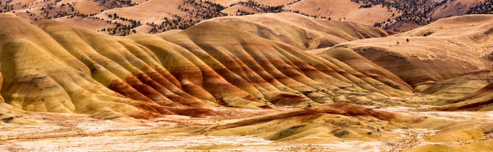 对俄勒冈州化石床多彩矿物和岩石床的全景观图片