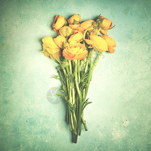 黄色彩虹花朵紧贴在蓝桌上背景图片