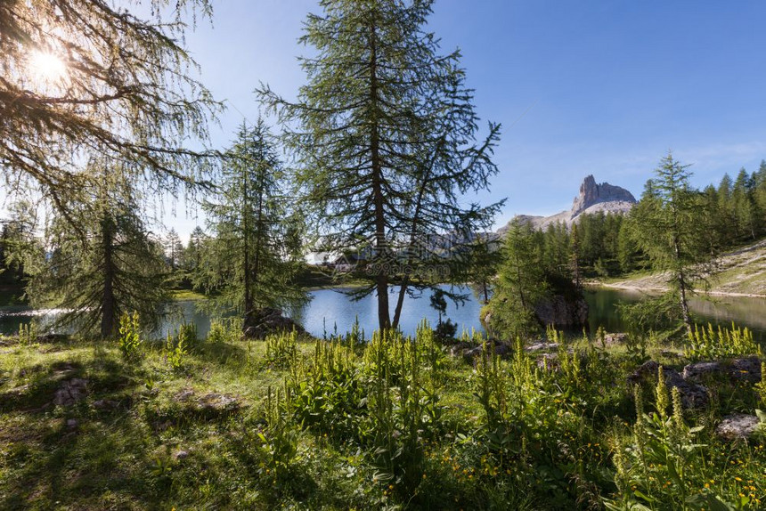 阳光明日的阿尔卑斯山夏季湖意大利阿尔卑斯多洛米特山图片