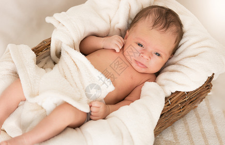 新生婴儿躺在篮子中音调高清图片素材