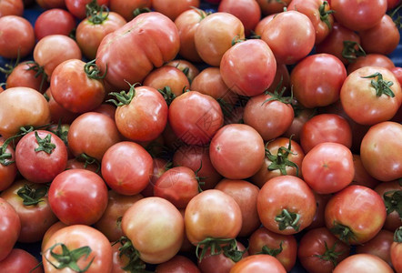 红番茄乡村市场有机番茄新鲜西红柿的定背景图片