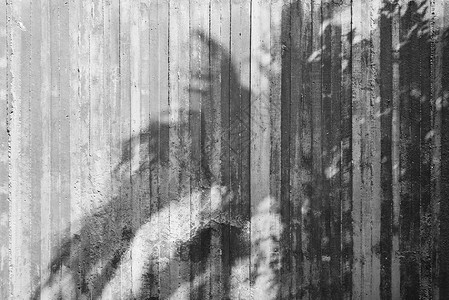 生水泥墙上树影的有木形式的纹理背景图片