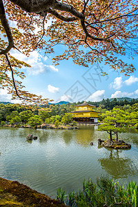 日本京都金宫寺殿建筑图片